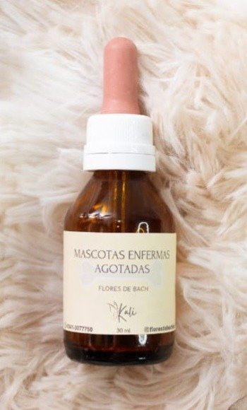 Producto - MASCOTAS DEPRESIVAS