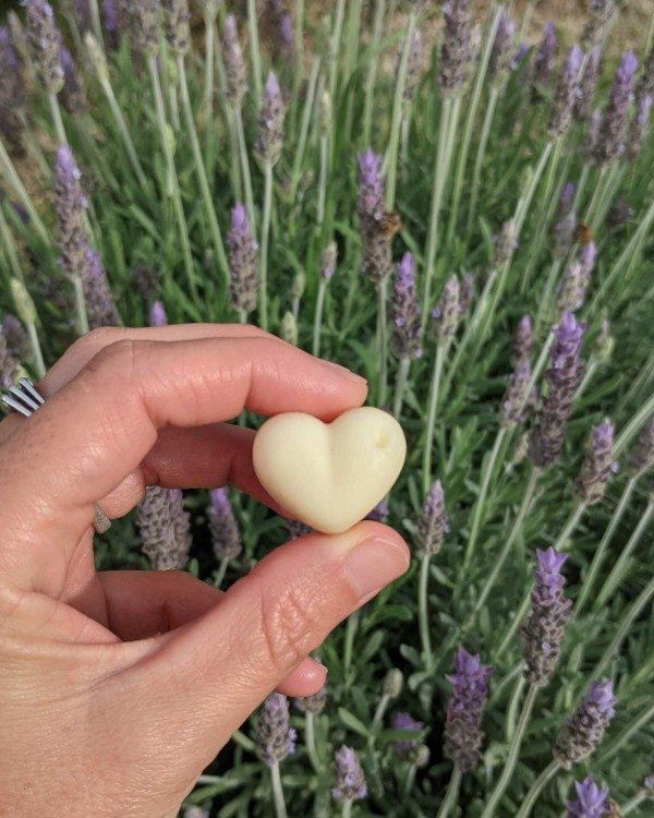Producto - Perfume sólido de Lavanda