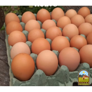 Producto - Huevos pastoriles grandes- Maple (30 Unidades) - PACHAMAMA