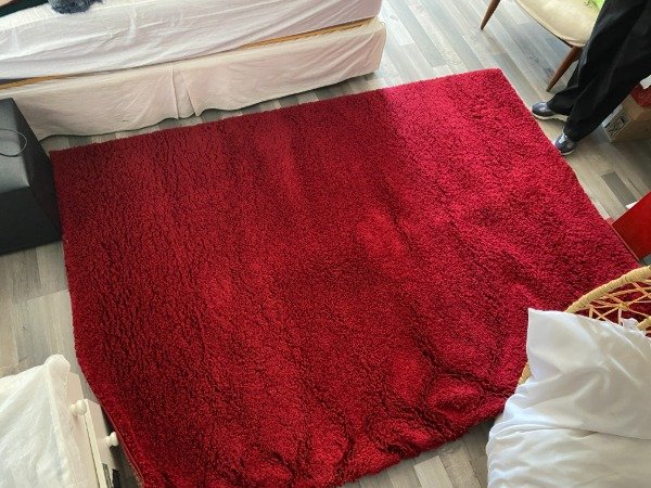 Producto - ALFOMBRA ELEMENT DIB ROJA 230x160 #9605