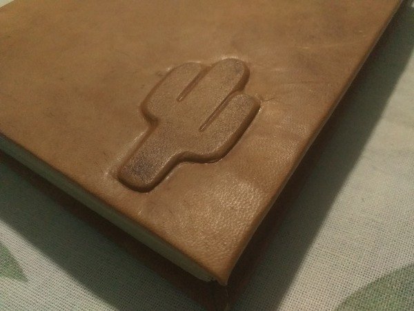 Producto - Cardon en la montaña