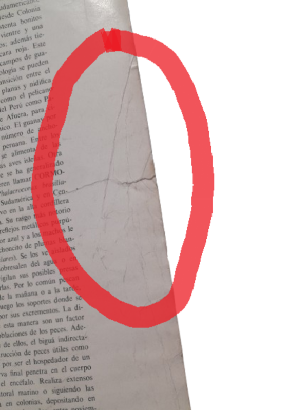 Miniatura de producto - 8