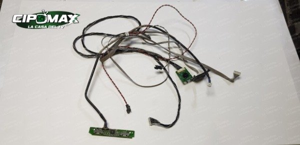 Producto - Conectores Philips 55PUG6703 - Garantia