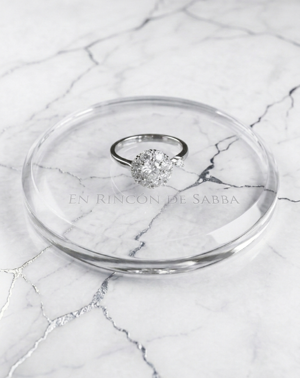 Producto - Anillo Solitario Silver con Halo y Micro-pavé