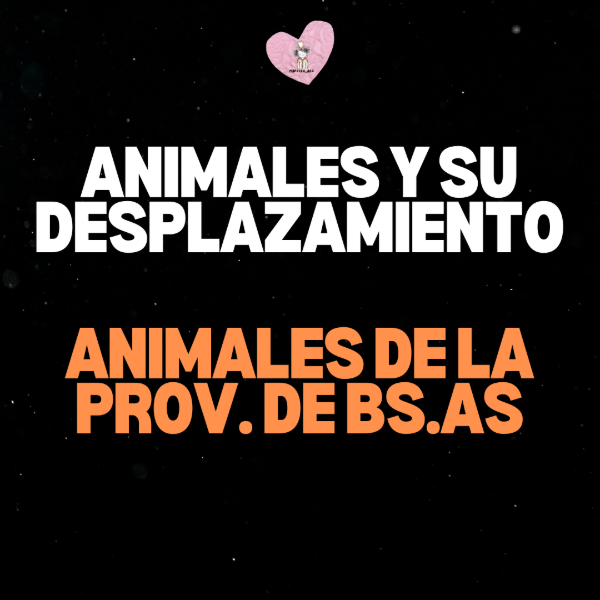 Producto - ANIMALES Y SU DESPLAZAMIENTO (ANIMALES DE BS.AS)