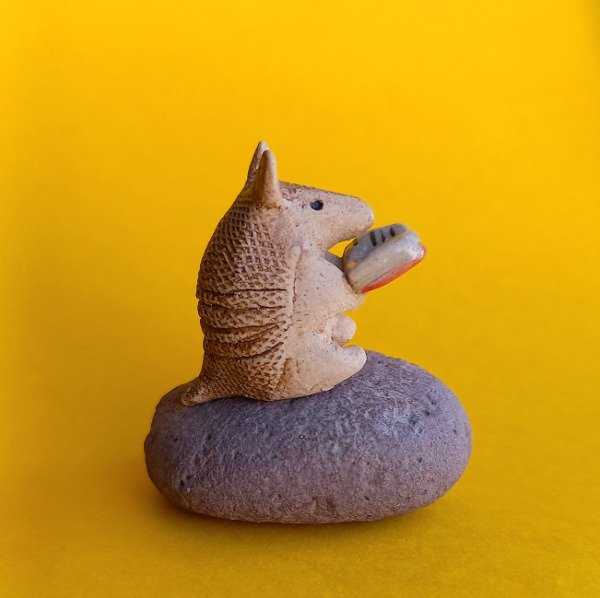 Producto - Tatú lector mini