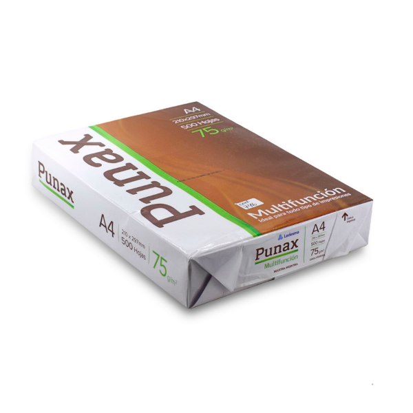 Producto - BULTO PUNAX X10
