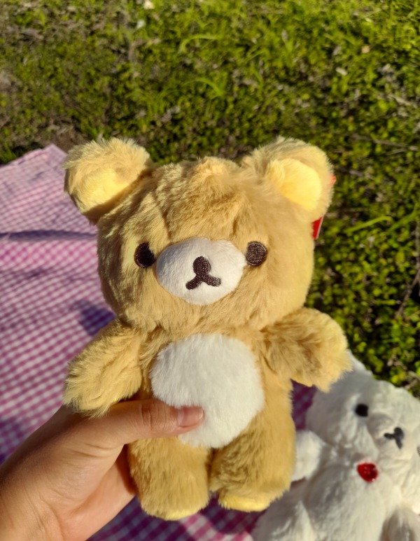 Producto - Peluches rila y kori 20cm premium - 1