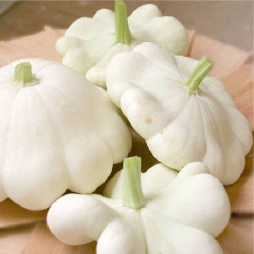 Producto - 50 SEMILLAS DE ZAPALLO PETER PAN BLANCO