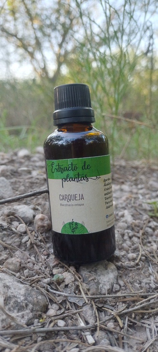 Producto - Tintura Madre de Carqueja