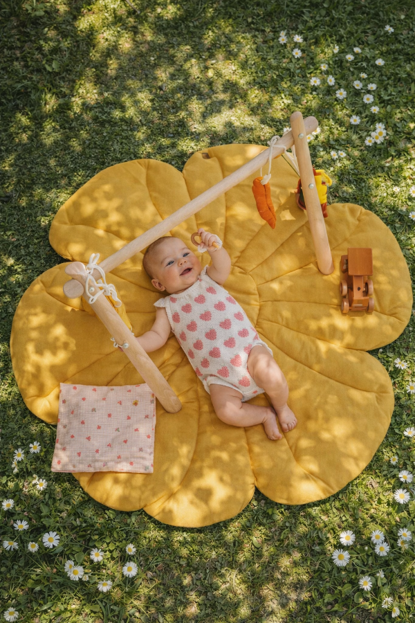 Producto - Enterito frutillas blanco