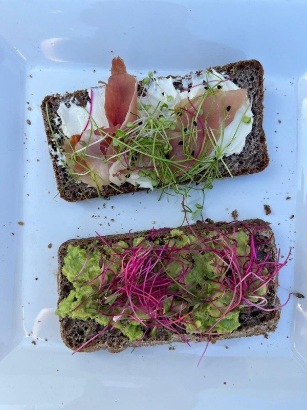 Producto - Cultiva tus microgreens en casa - Online - 2