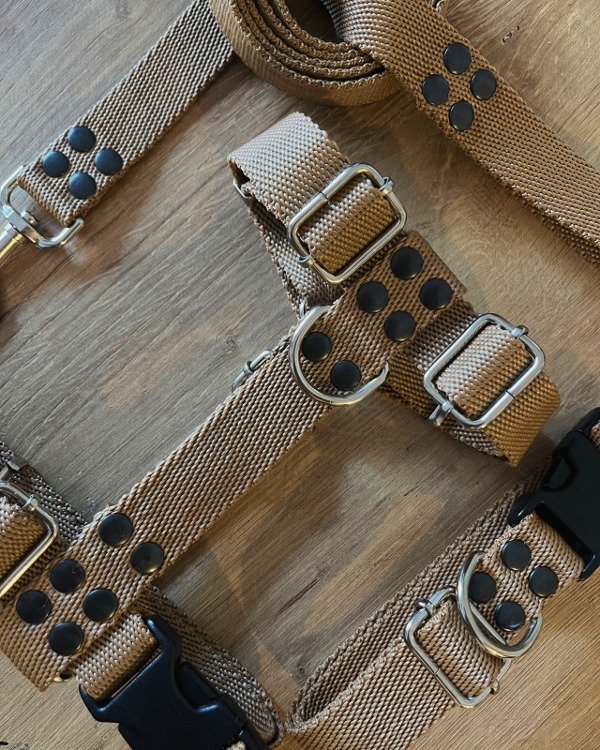 Producto - KIT CAMEL