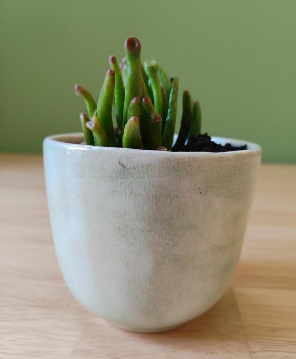 Miniatura de producto - 11