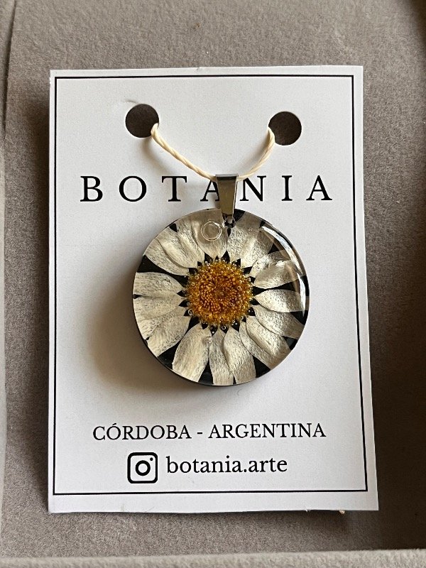 Producto - Margarita 11 - 0