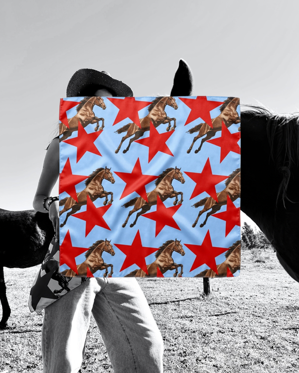 Producto - Pañuelo DINASTÍA