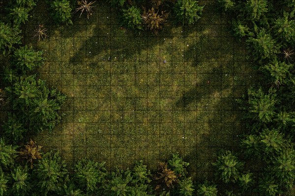 Producto - Bosque 6 L