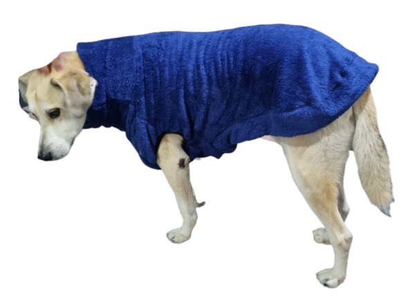 Producto - Buzo Be You Polar cuello alto doble perros grandes