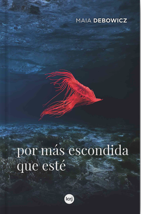 Producto - Por más escondida que esté - Maia Debowicz - La crujía