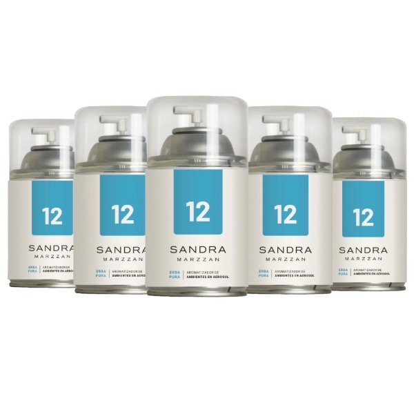 Producto - Aerosol Erba Pura 12U