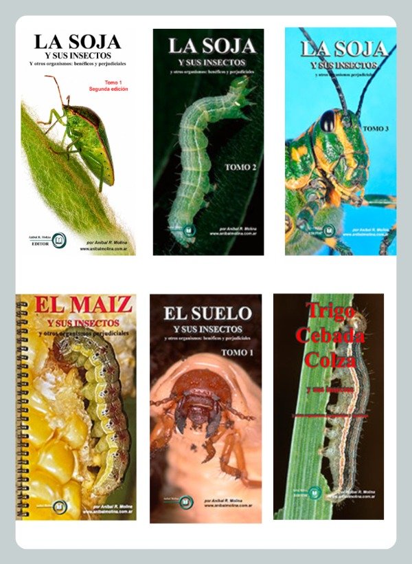 Producto - Molina: Colección Completa Insectos de Soja, Suelo, Maíz, Trigo, Cebada y Colza