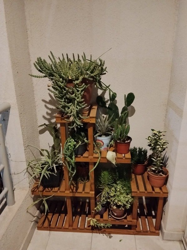 Miniatura de producto - 7