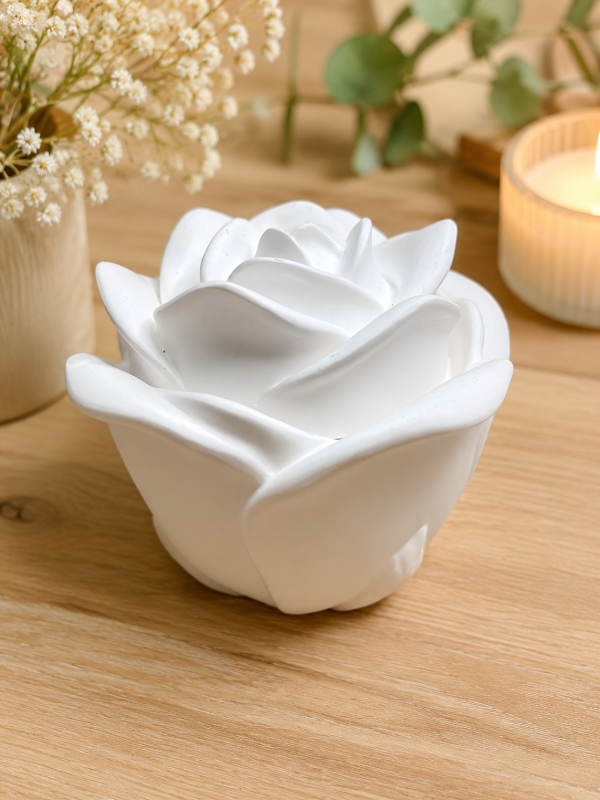 Producto - Caramelera Rosa yeso