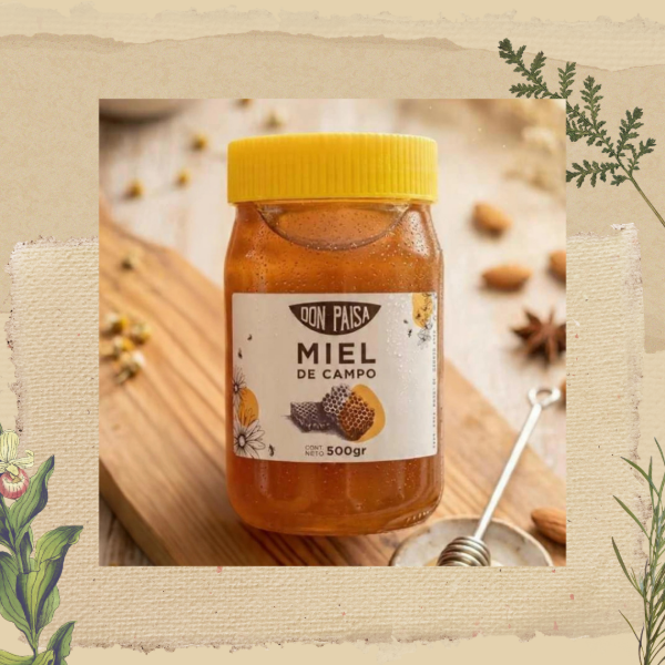 Producto - Miel x 500grs Don Paisa