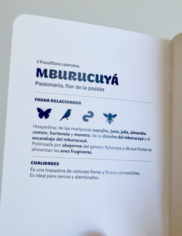 Producto - Libreta Mburucuyá - 1
