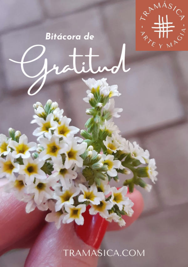 Producto - BITÁCORA DE GRATITUD