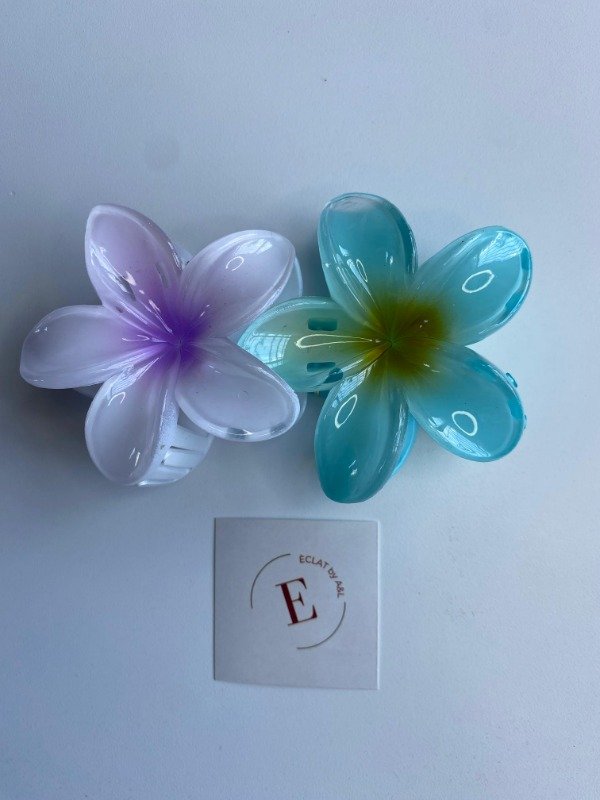 Producto - Broche Hawai