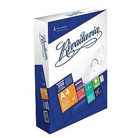Producto - REPUESTO A4 RIVADAVIA con Banda Reforzada x 288h papel blanco mate - 1
