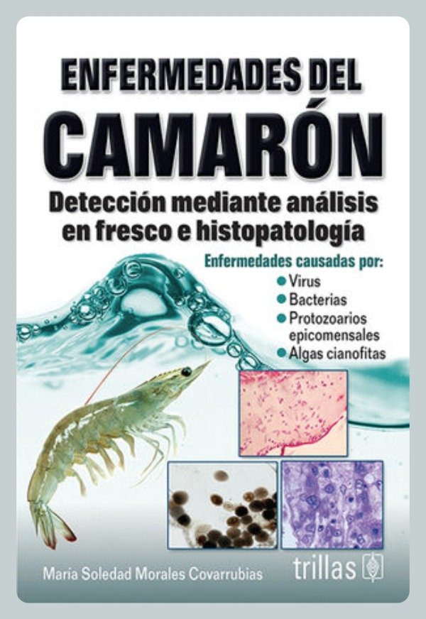 Producto - Morales: Enfermedades del Camarón