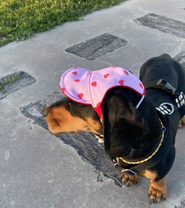 Producto - Gorra love