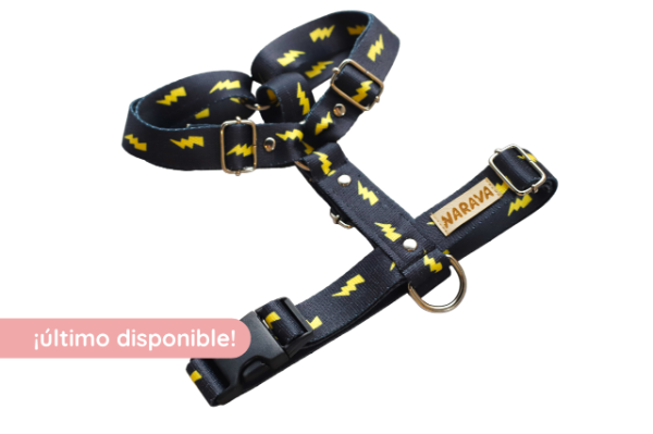 Producto - Pretal H Rayos