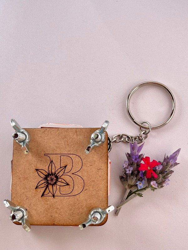 Producto - Mini prensa botánica - 2