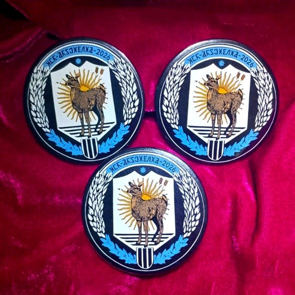 Producto - PIN ESCUDO ARGENTINA DRAAG