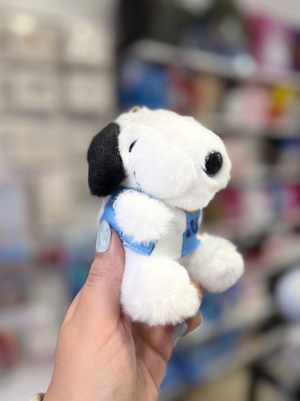 Producto - Snoopy Llavero Argentina