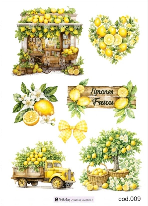 Producto - Transfers 009