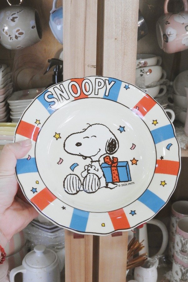 Producto - Plato Snoopy Rayas