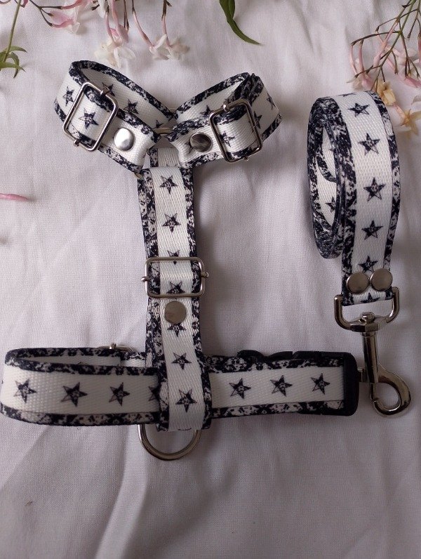 Producto - Conjunto de paseo ASTRA - 0