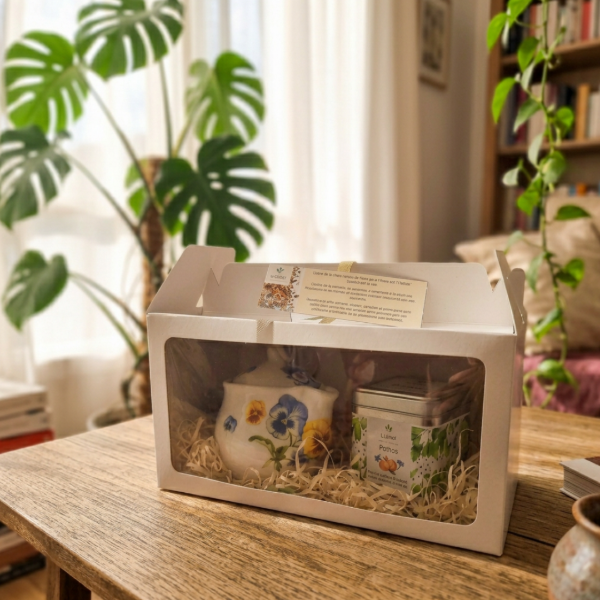 Producto - BOX TETERA