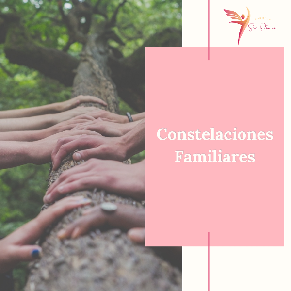 Producto - Constelaciones Familiares