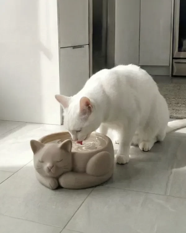 Producto - Bebedero y Comedero para Gatos con Carita 18 cm / Funcional y Súper Adorable
