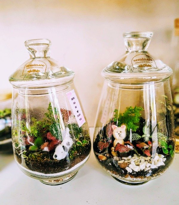 Producto - Terrario Potiche Cristal