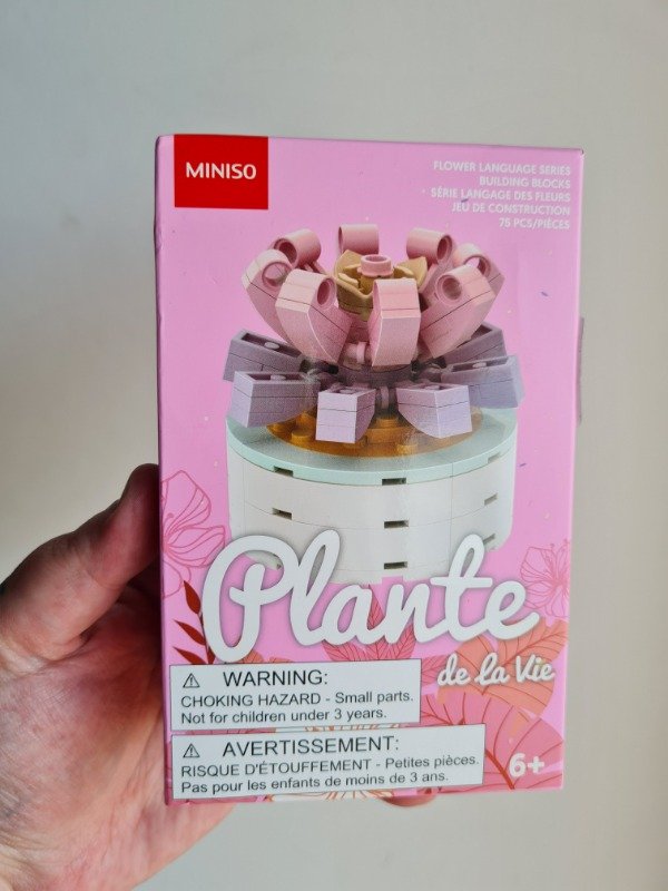 Producto - Planta rosa tipo lego
