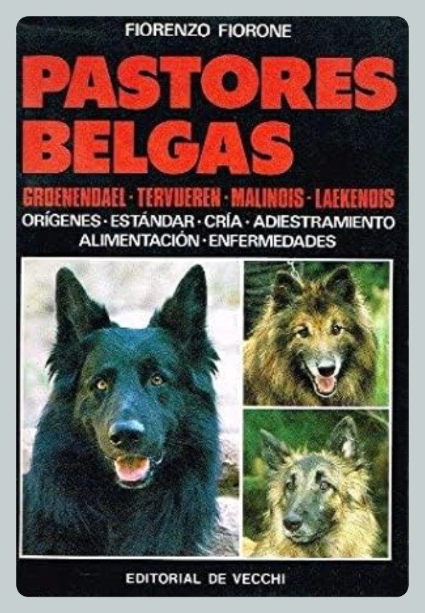 Producto - Pastores Belgas: Groenendael - Tervueren - Malinois - Laekenois