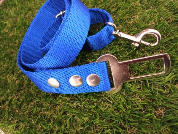Producto - 10 cinturones de seguridad