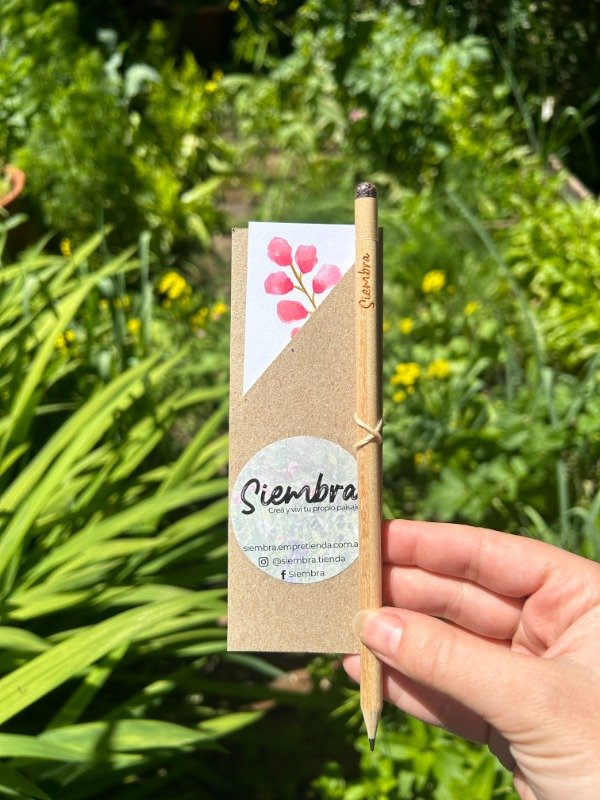 Producto - Set botánico: lápiz plantable + señalador ilustrado