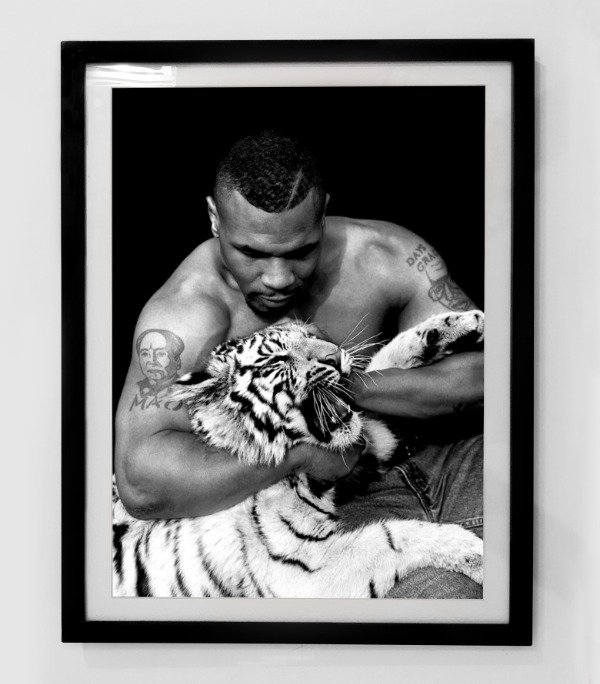 Producto - MIKE TYSON (Nro 14)